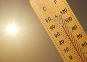 47°C attendus dans les prochains jours à Tunis !