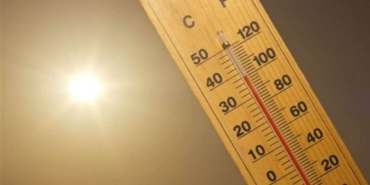 47°C attendus dans les prochains jours à Tunis !