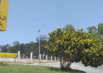 Le rond-point de tous les dangers !