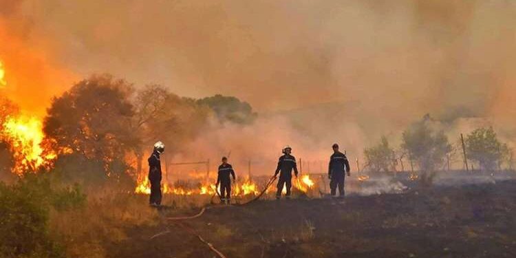 Incendies : TT offre un solde à ses abonnés localisés dans la zone de Tabarka