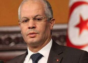Imed Hammami fait les yeux doux à un éventuel portefeuille ministériel