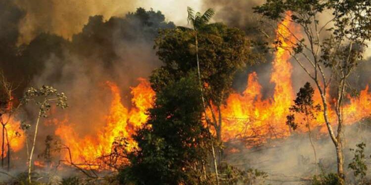 La canicule met le feu presque partout…