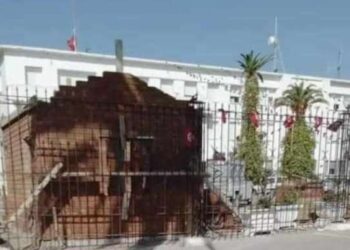 Nouveau-né au siège du Gouvernorat de Bizerte !