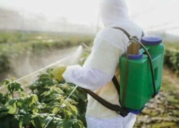 Tunisie : Des pesticides extrêmement dangereux officiellement retirés