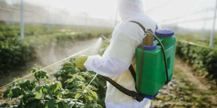 Tunisie : Des pesticides extrêmement dangereux officiellement retirés