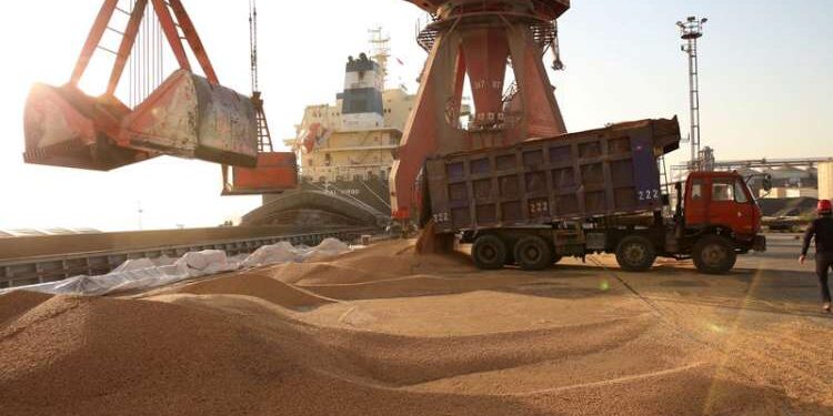 Aujourd'hui, date limite pour les offres d’achat de 200.000 tonnes de blé
