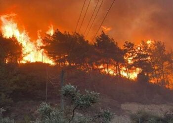 Un incendie s'est déclaré au Mont Ballouta (Siliana)