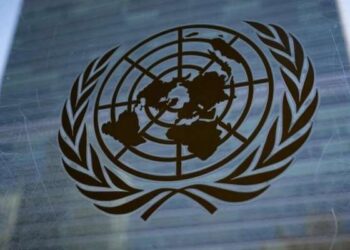 Kais Saied au Sommet de l'ONU sur la sécurité alimentaire