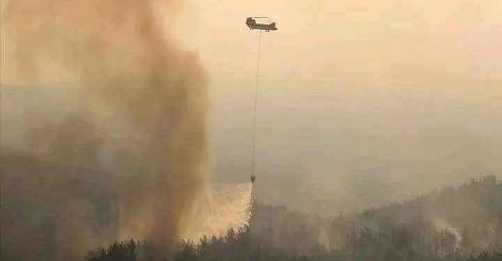 Les Algériens appelés à éviter de voyager en Tunisie en raison des incendies
