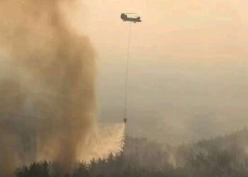 La forêt de Maaloula à Tabarka en proie à deux incendies