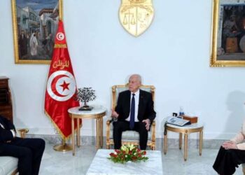Kais Saied : « Un projet de loi sur les recrutements douteux dans l’administration »