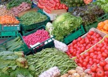 Hausse des prix des légumes : Retour à la normale fin août, selon l’UTAP
