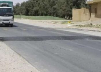 En Tunisie, quatre dos d’âne coûtent 27 mille dinars !