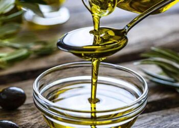 La Tunisie vise la production annuelle de 250 mille tonnes de l'huile d'olive à l'horizon 2035