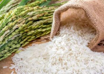 Tunisie : Une interminable pénurie de riz !