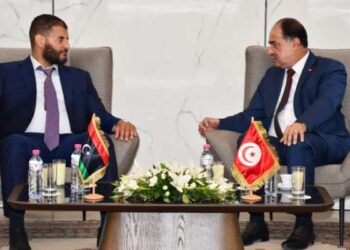 Les flux migratoires au cœur d’un entretien entre Feki et son homologue libyen