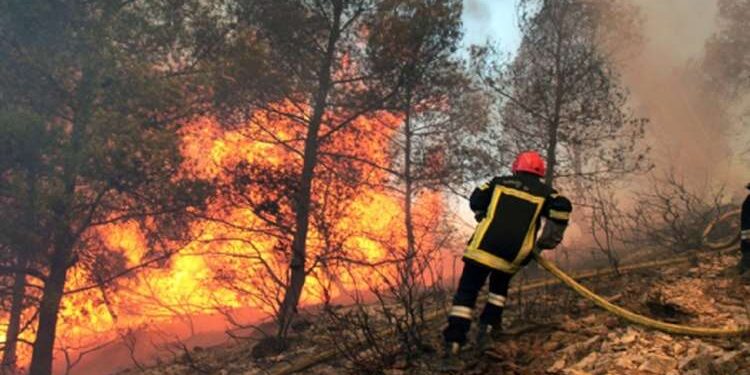 Béja : Un lourd bilan dans les incendies de Nefza