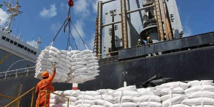 Tunisie : Appel d'offres pour l'achat de 125.000 tonnes de blé tendre