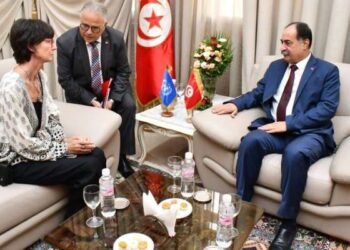 Feki appelle une coordination étroite avec les structures onusiennes en Tunisie