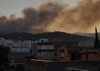L’incendie de la forêt du Parc Ennahli a ravagé 16 hectares