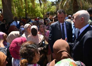 Kaïs Saïed fustige des cartels qui veulent semer le désordre