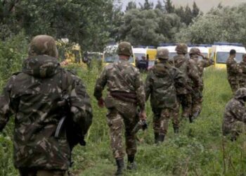 Découverte aux frontières tunisiennes d’un refuge de terroristes