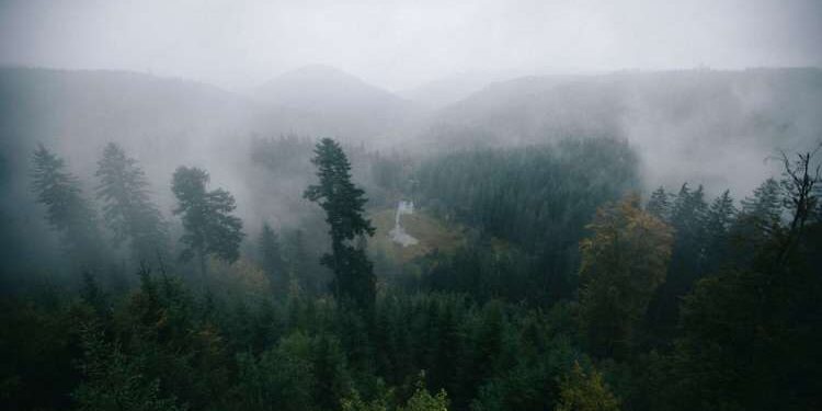 Tuniswald, mystérieux village dans la Forêt noire allemande