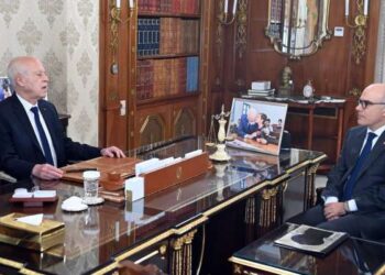 La Tunisie au sommet des BRICS en Afrique du Sud