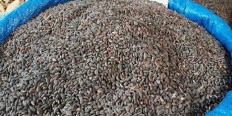 Tunisie : Saisie de 142 tonnes de fruits secs et Zgougou impropres à la consommation