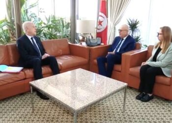 Kais Saied fustige le Comité d'analyse financière