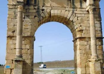 Coopération tuniso-polonaise : Le projet Mustis au musée du Bardo
