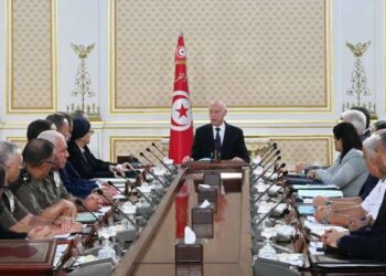 Cité médicale de Kairouan : Kais Saied fait le point