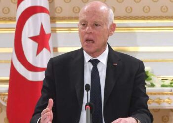 Saied : « Nous enverrons à notre tour des missions d'inspection dans leurs pays »