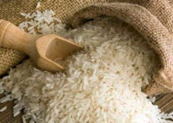 Tunisie : 5800 tonnes de riz bientôt disponibles