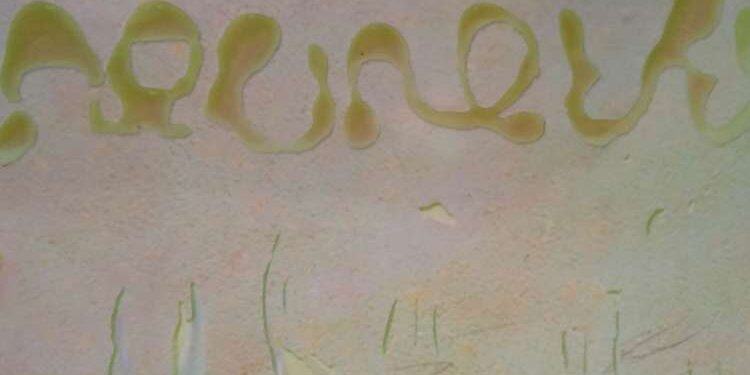 Le Collectif Broudou consacre un ouvrage à l'huile d'olive