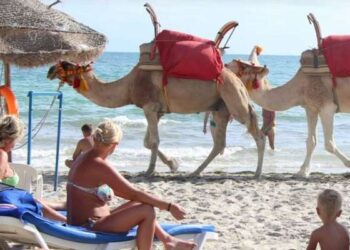 Tunisie : 5,4 milliards de dinars de recettes touristiques