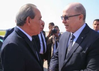 Ahmed Hachani plaide pour une zone de libre-échange entre la Tunisie et l’Algérie