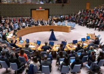 Projets de résolution sur Gaza : Le veto est maître au Conseil de sécurité de l’ONU
