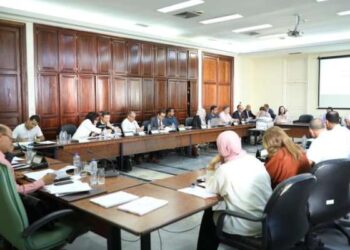 ARP : Adoption du PLF rectificatif 2023