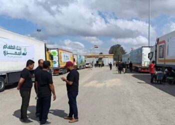 Gaza : Passage de Rafah débloqué, 27 tonnes d'aide humanitaire russe