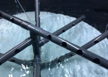 Pêche en Méditerranée : une entreprise tunisienne primée