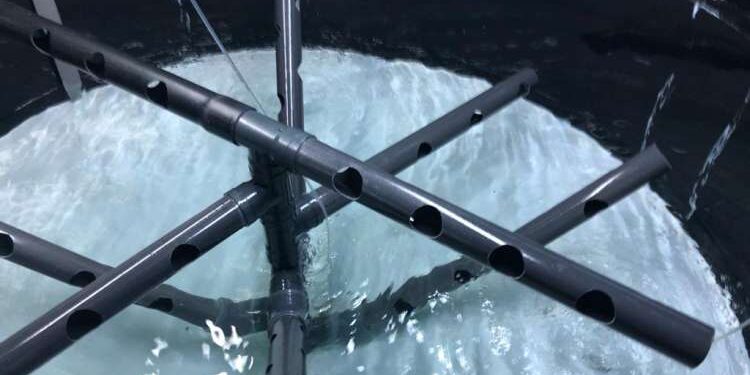 Pêche en Méditerranée : une entreprise tunisienne primée