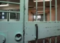 Affaire abattoir de Sousse : Quatre personnes condamnées à trois ans de prison