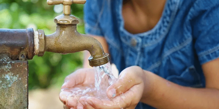 PLF 2024: Pourquoi la Tunisie va allouer 656 MD au secteur de l'eau ?