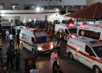 Gaza : Les chiffres du désastre humanitaire