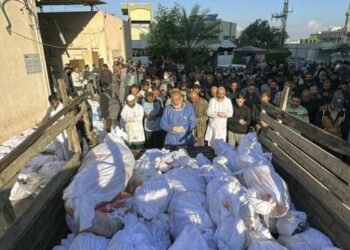 Gaza : 12.300 martyrs dont plus de 5000 enfants