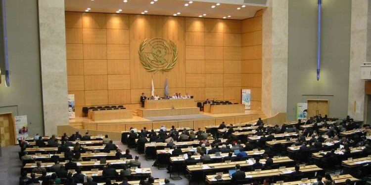 Gaza : Le Conseil de sécurité appelle, pour la première fois à des "pauses humanitaires"