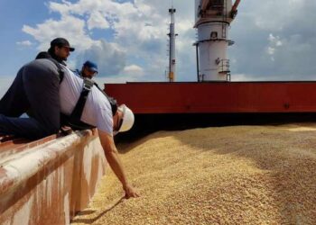 Les besoins de la Tunisie en blé comblés à hauteur de 35% par la France