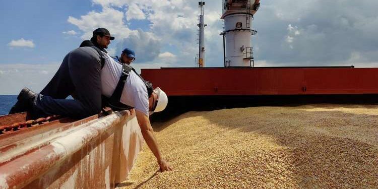 Les besoins de la Tunisie en blé comblés à hauteur de 35% par la France