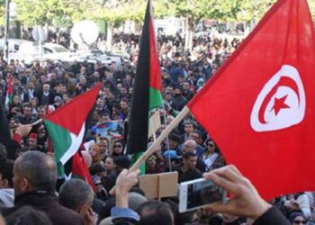 Appels à manifester en soutien à la Palestine, mercredi